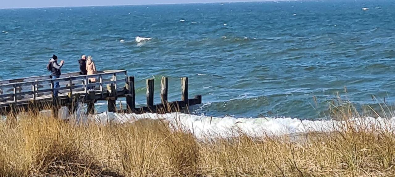 Ferienwohnung "Juliette" Zingst Exteriér fotografie